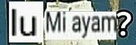 minjunangor's profile banner image