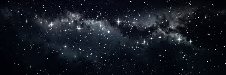 PongieTrizzy's profile banner image