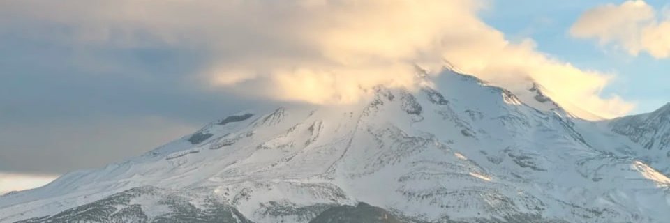 Amanda1Ling's profile banner image