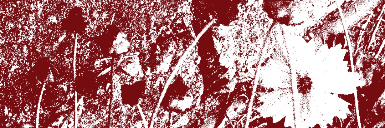 Nick_kt's profile banner image