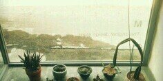 dounat236's profile banner image