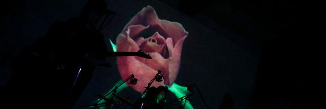 yasuyo_inicie banner