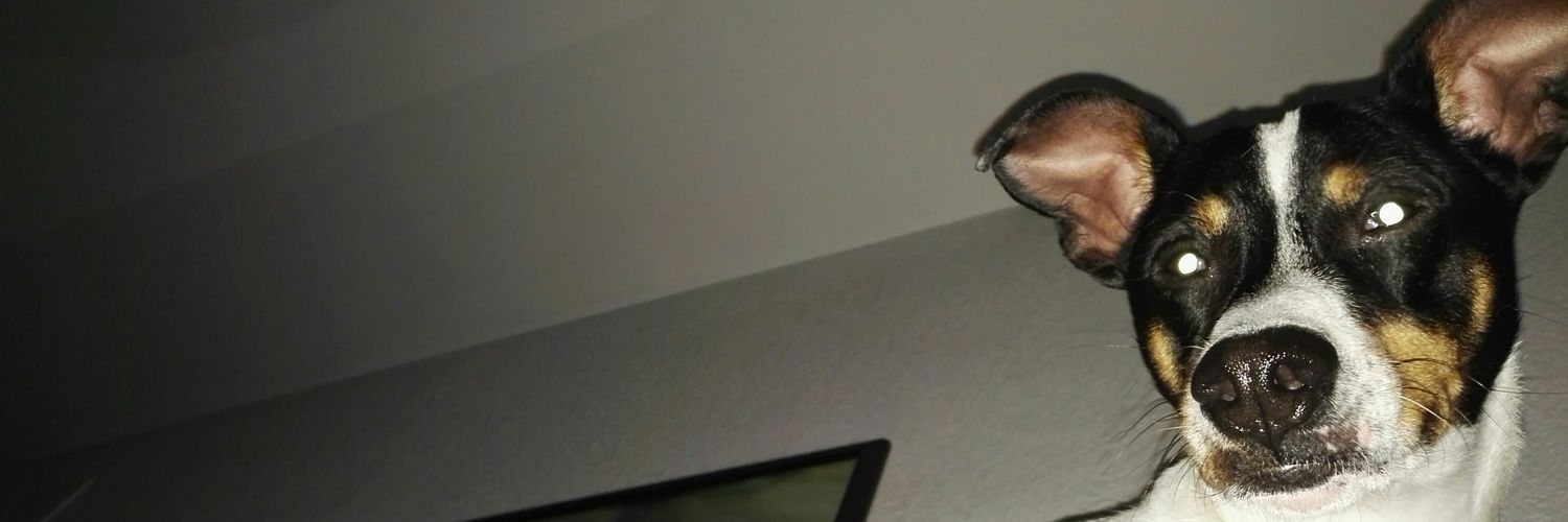 ELITT3 banner
