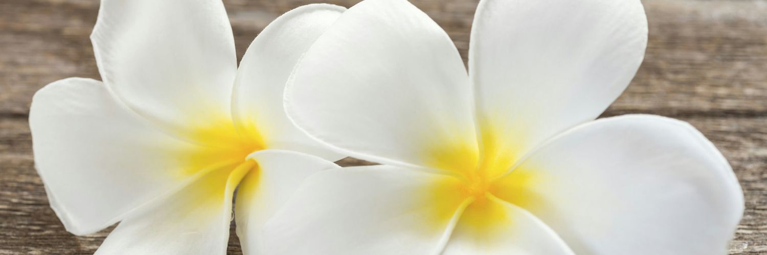 RubiaMendez's profile banner image