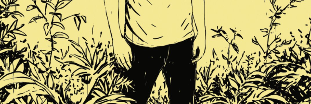 Fernando Meirelles banner