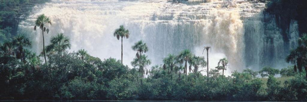 MARTIN MONTERO banner