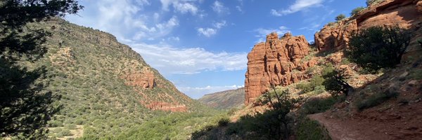 SophiaCCRx1 Profile Banner