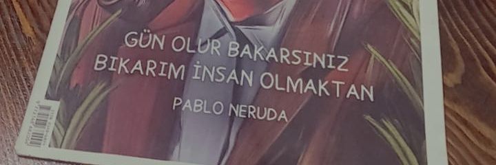 mrvegedikk's profile banner image