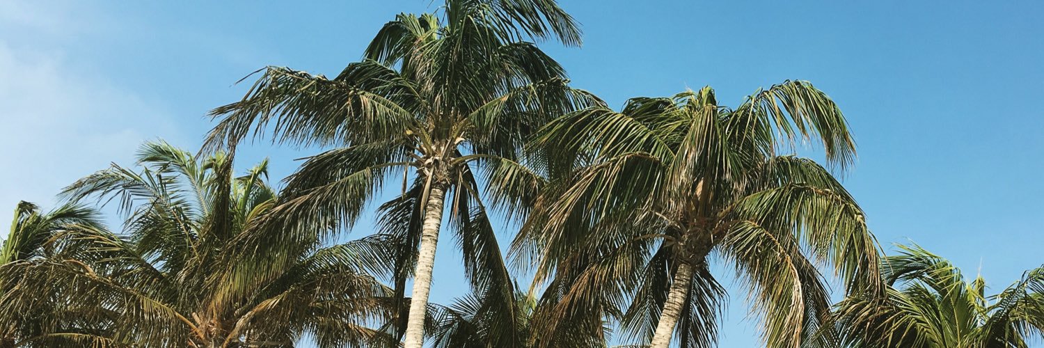 amycarp4's profile banner image