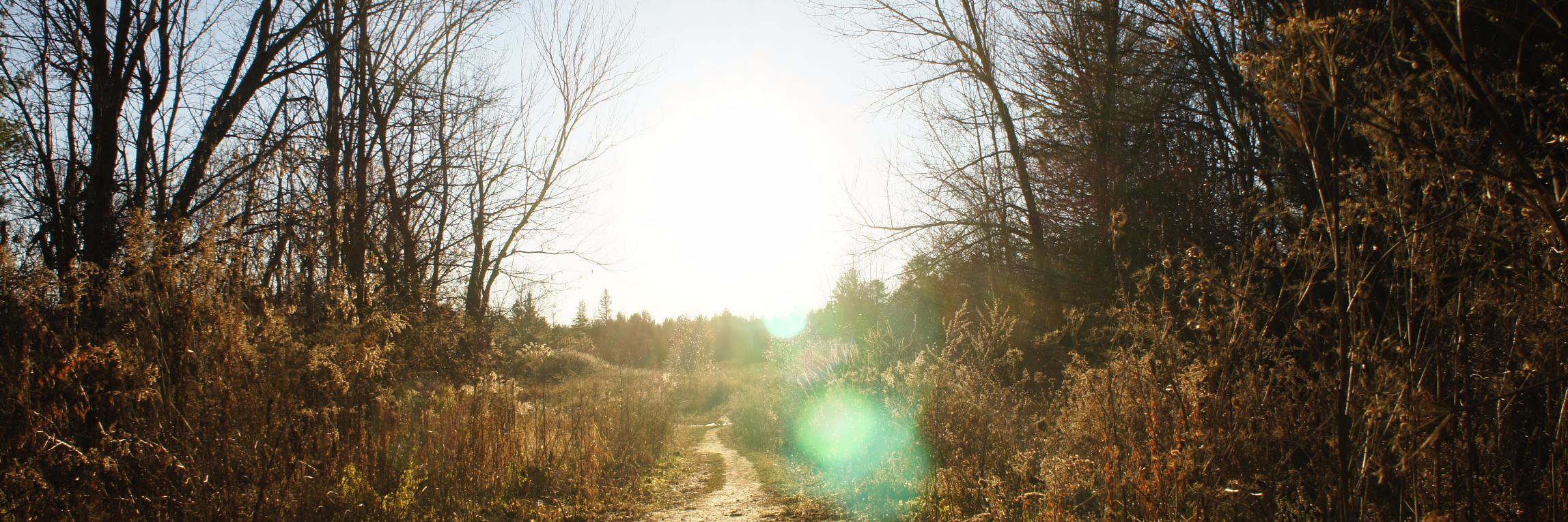 harborfordreams's profile banner image
