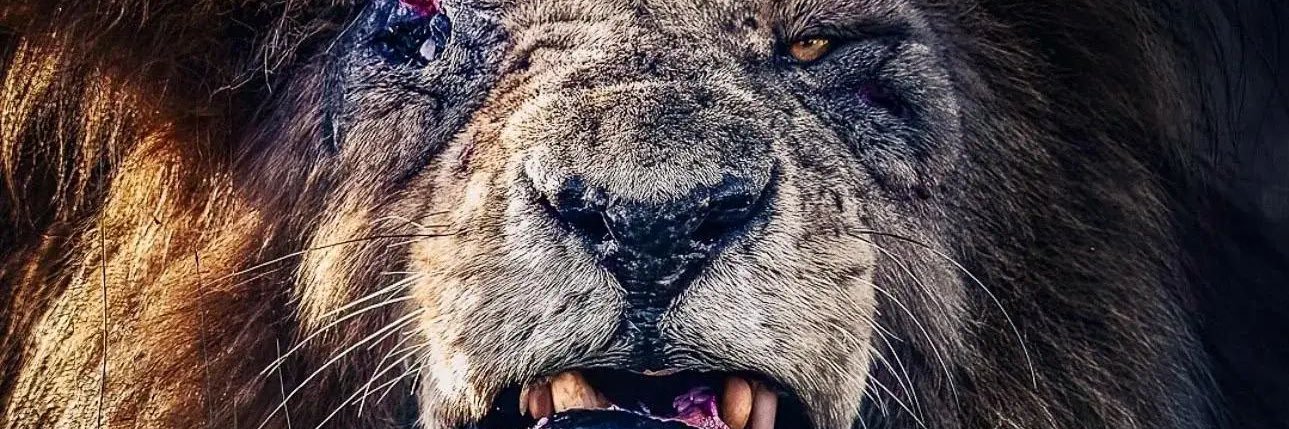 GordieLaChance banner