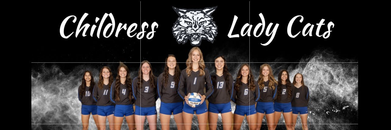 ladycatvball's profile banner image