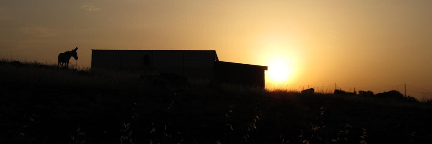 masdehiguera's profile banner image