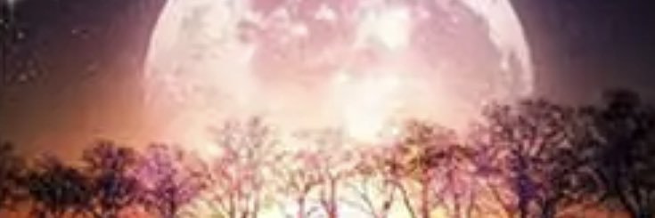 soultrain1002's profile banner image