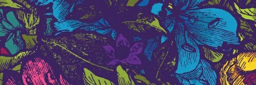 solmorales30's profile banner image