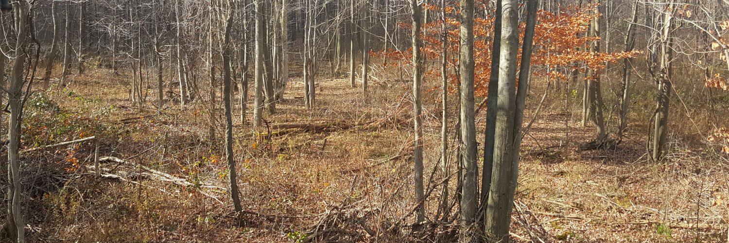 HJBorseman's profile banner image