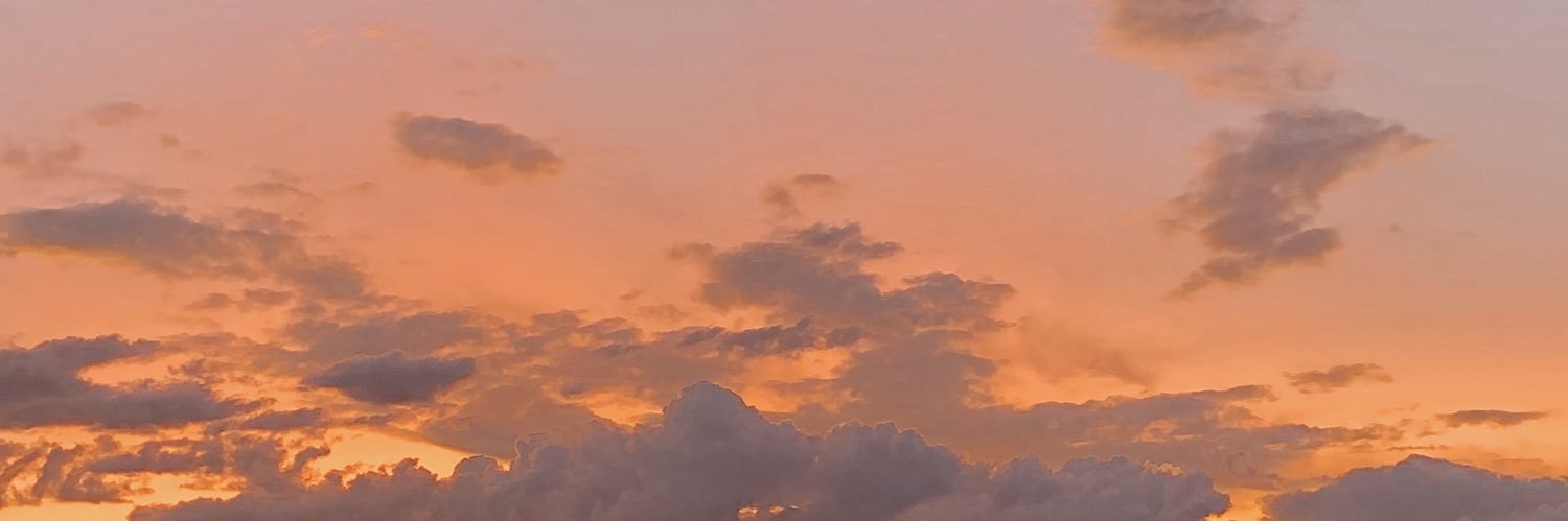 1madibean's profile banner image