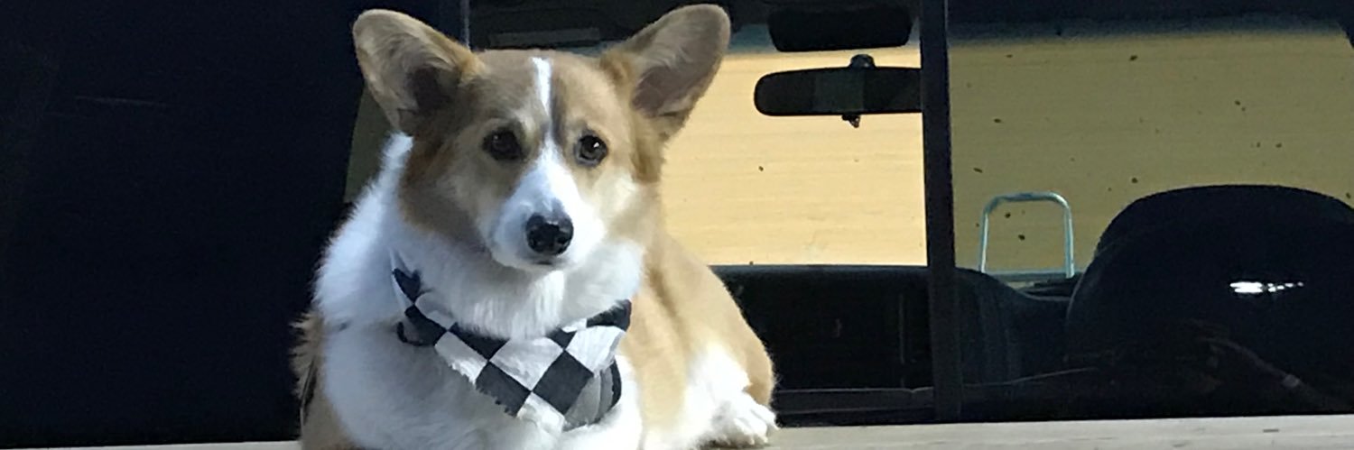 Dzus the Push Truck Corgi's banner