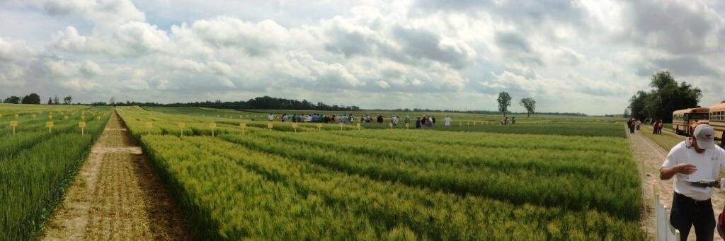 VA Grain Producers banner