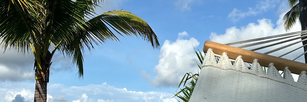 quijano_barbara's profile banner image