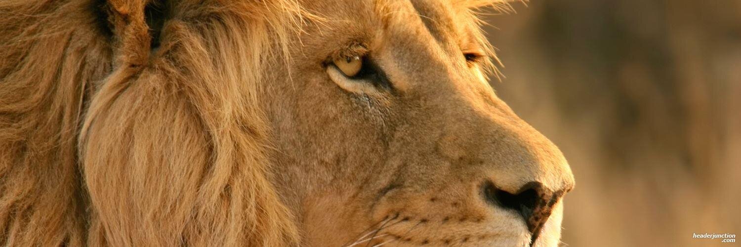 ravidhatwalia's profile banner image