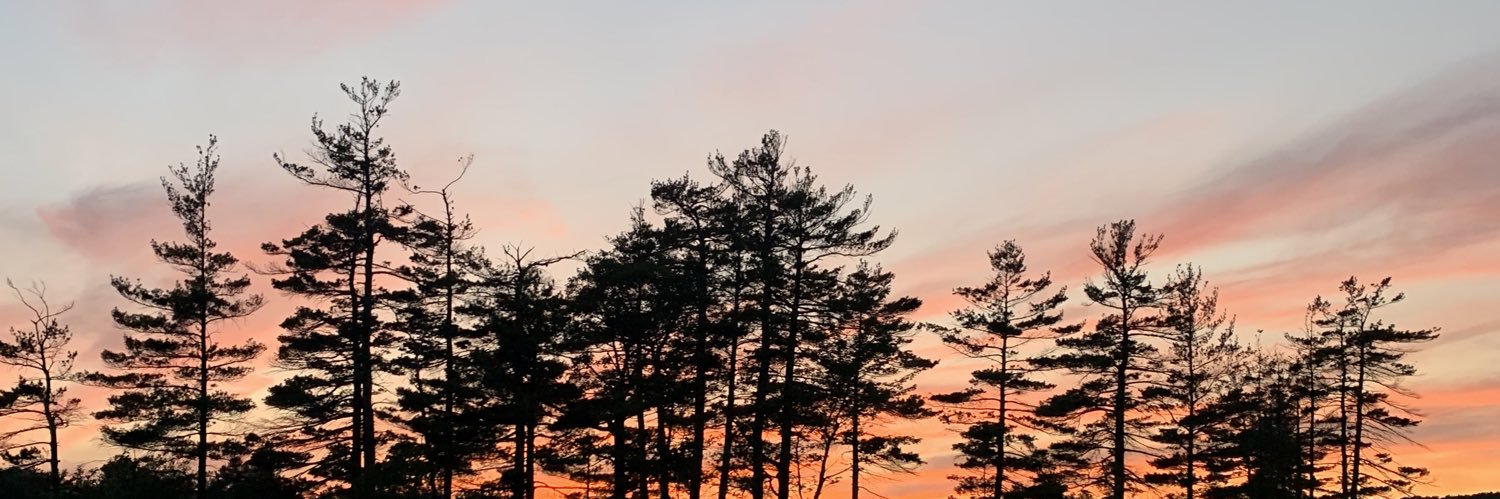 MelainaDuval's profile banner image