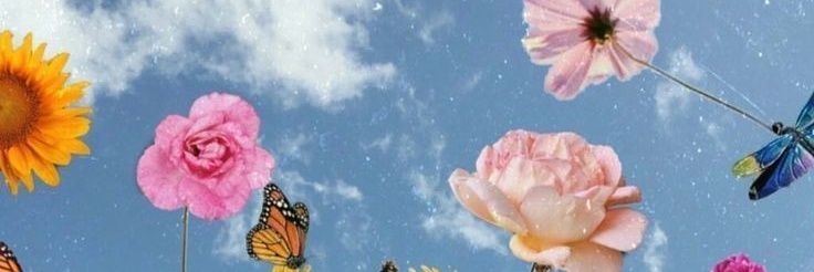 lwhtlw's profile banner image