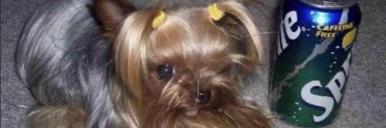 lil sprite ♡ banner