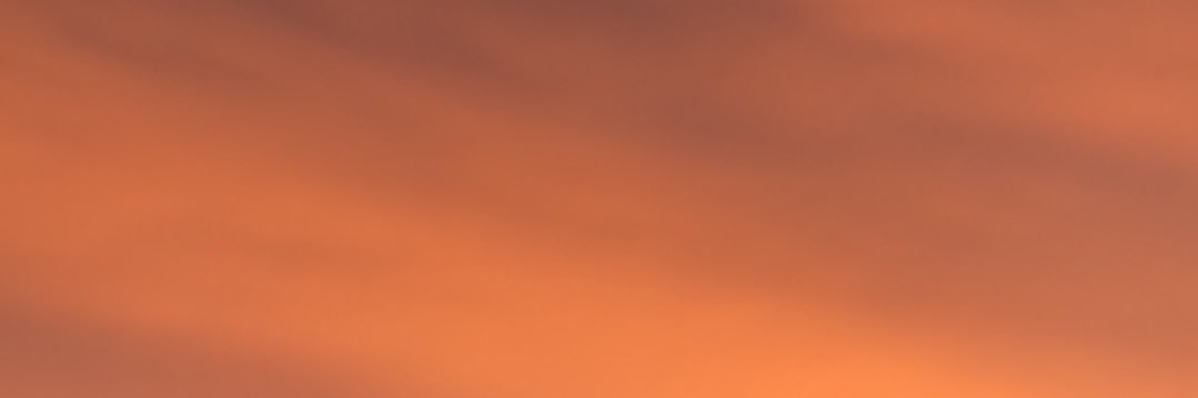 rae_ofsunshine's profile banner image