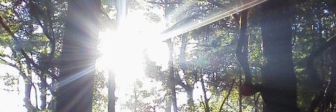 小野田龍之介-Ryunosuke.O- banner