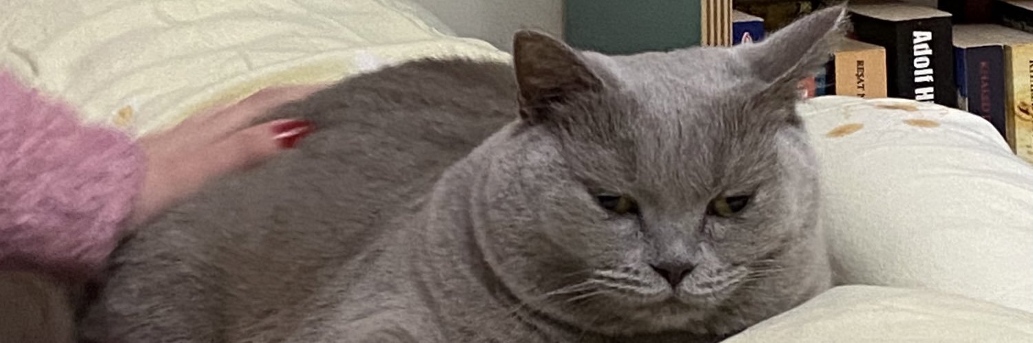 caaglayldiz's profile banner image