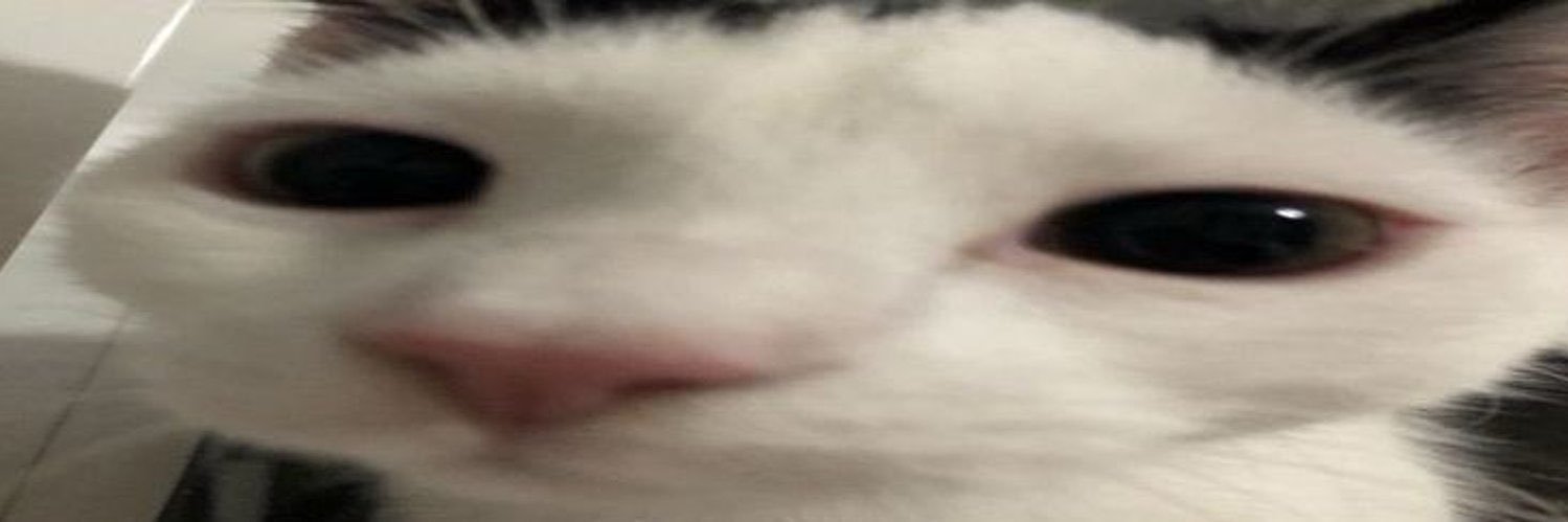 ymhobi's profile banner image