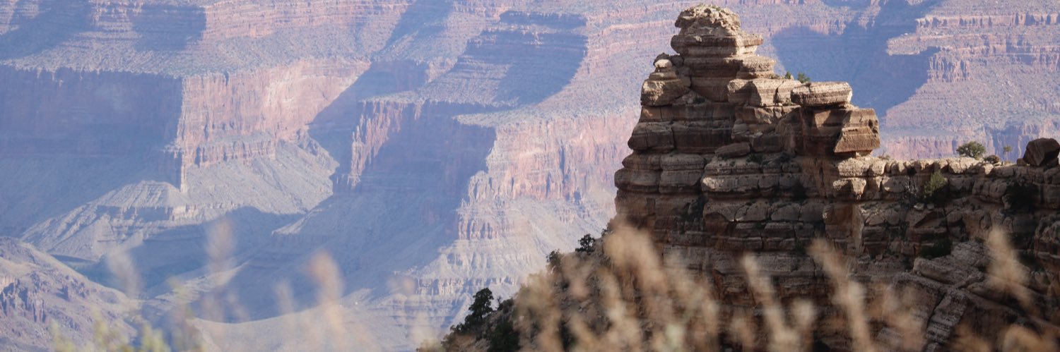 austinprings's profile banner image
