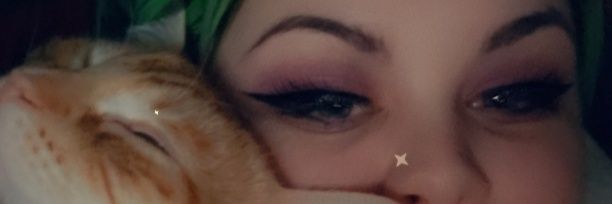 KittenMagnet's profile banner image