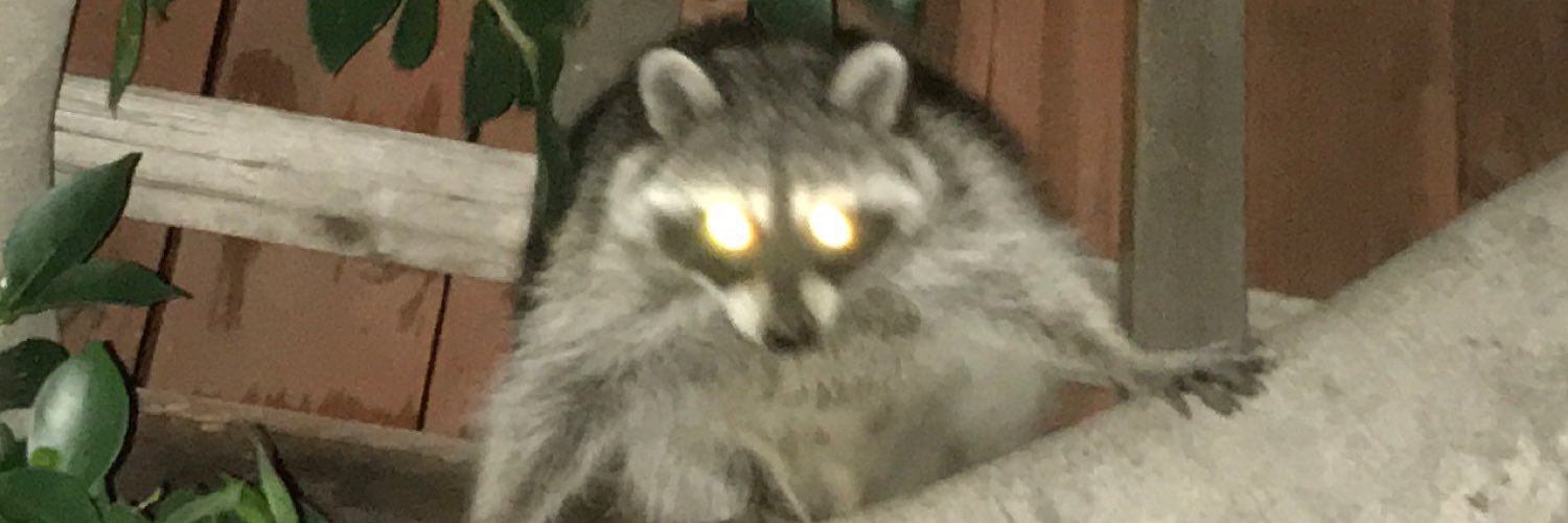 simonyang__'s profile banner image