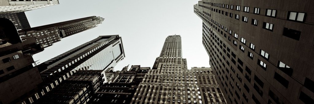 HarrisAlberto1's profile banner image