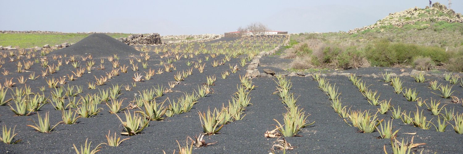 Marcin banner