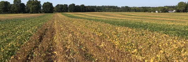 KyleSchroeder88 Profile Banner