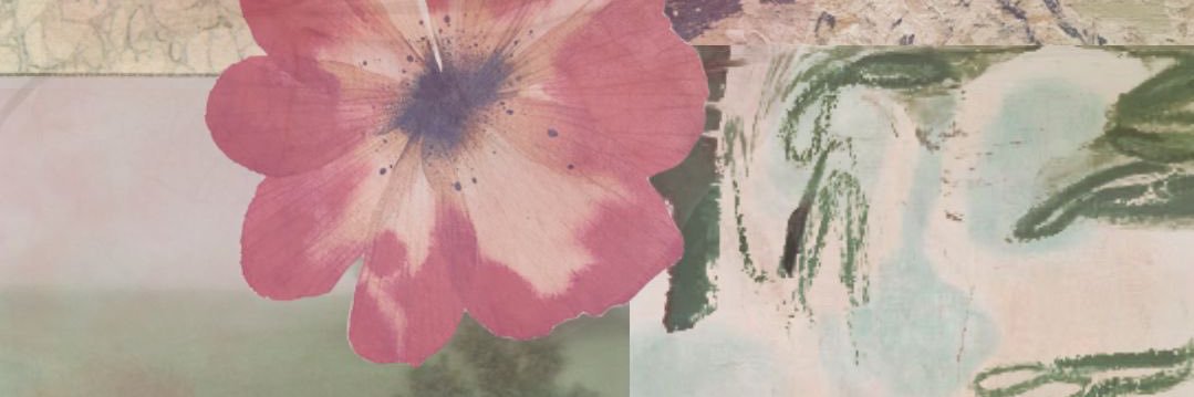 z banner