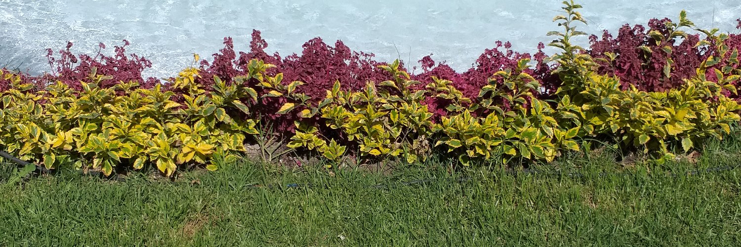 Zetiniux's profile banner image