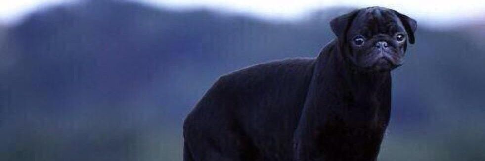 cybermilo117's profile banner image
