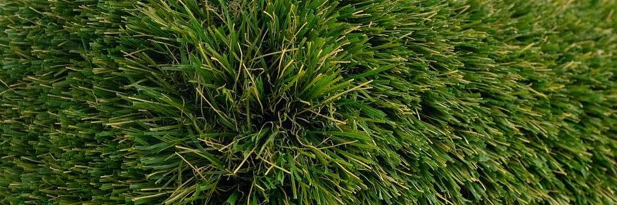 kaylee spears banner