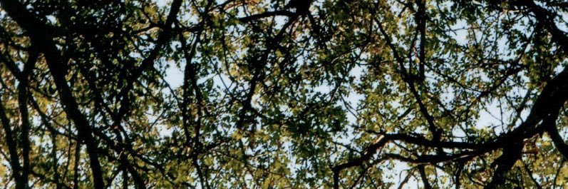 mims0021's profile banner image