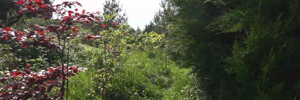 annaphillipsfn Profile Banner