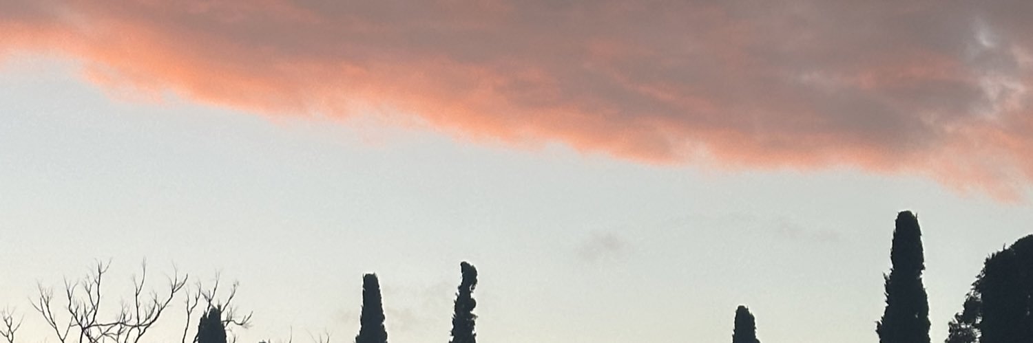 zoeyC137's profile banner image