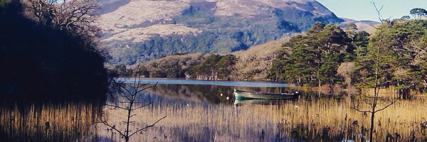 Thomas Twomey Profile Banner