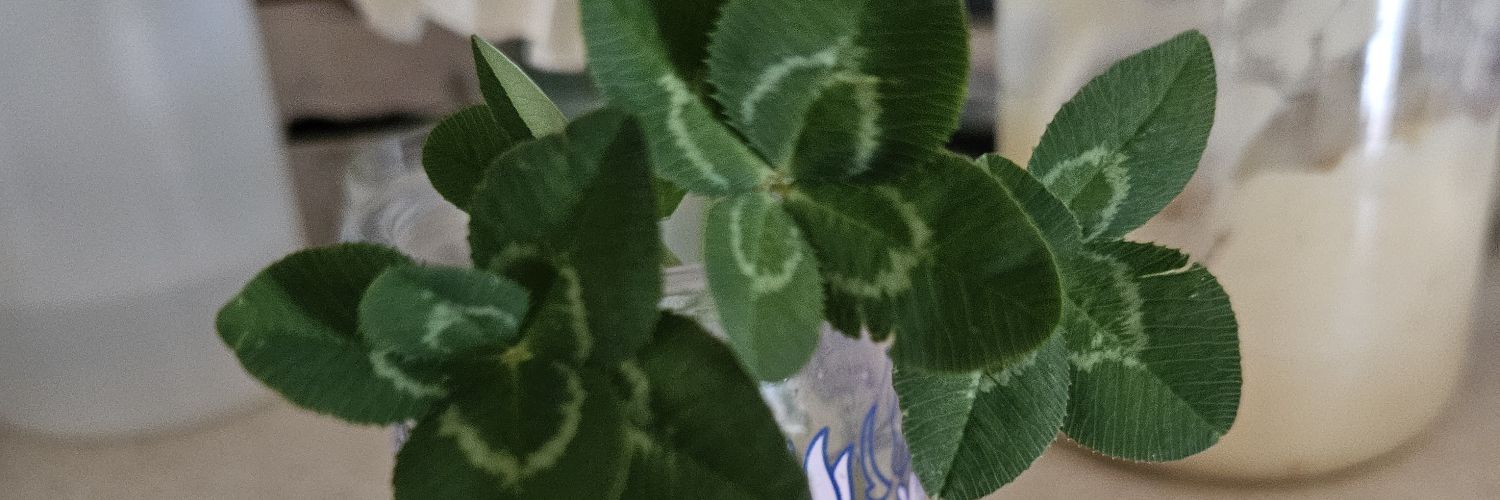 katthe7th's profile banner image