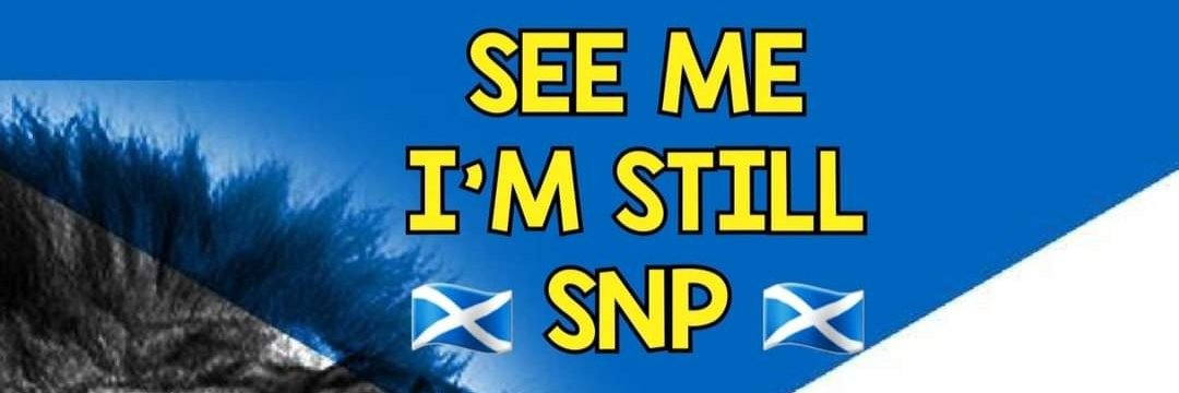 helen banner
