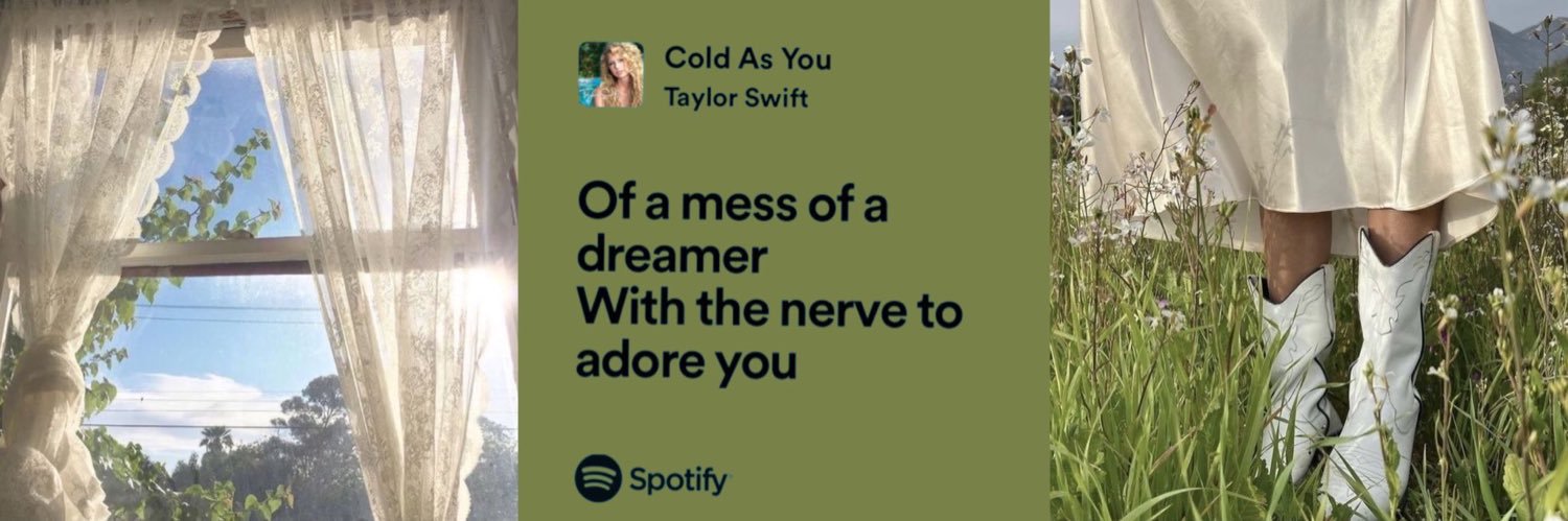 taylorddl's profile banner image