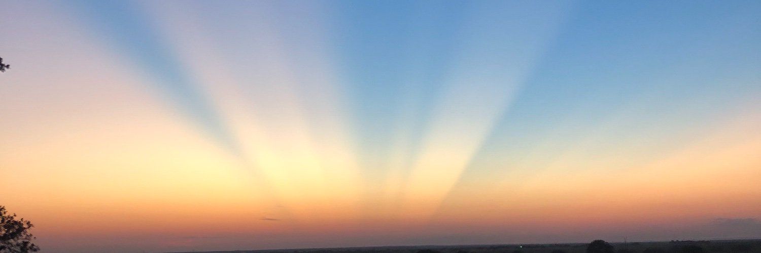 Michael A. Abbott banner